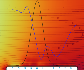Modeling Pulsatile Flow ...