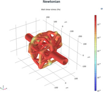 Mathematical Model of the ...