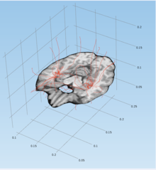 Comparing Isotropic and ...
