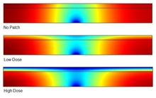 Simulation of Transdermal ...