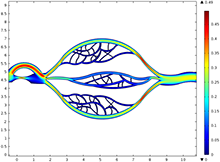 Microvascular Dysfunction ...