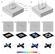 Estudo Numérico da ...