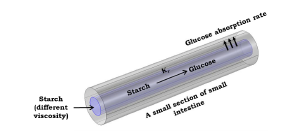Effect of Viscosity of Food ...