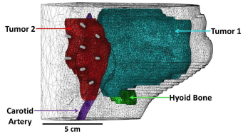 Simulating Light ...