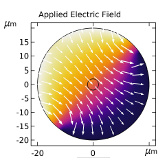 Silicon-Organic-Hybrid ...