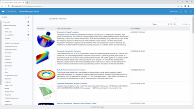 Model Manager Server Asset Management System 