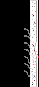 Computational Modeling and ...