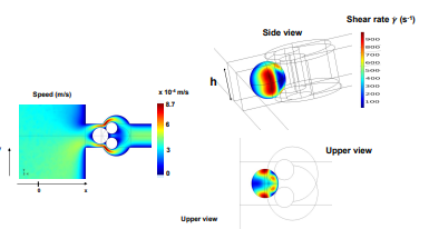COMSOL Simulation of a ...
