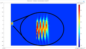 Simulation of Differential ...