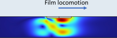 Directional Motion of ...