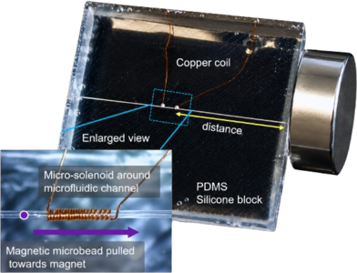 Coupled Magnetic Field ...