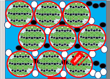 Electrochemical Li-Ion ...