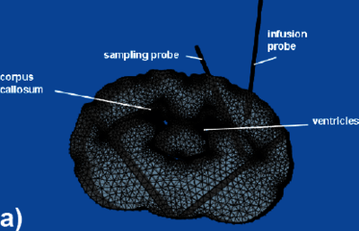 Numerical Simulation of ...
