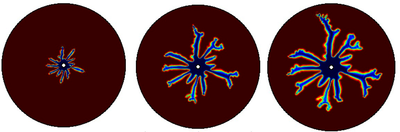 Modeling of Radial Source ...