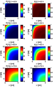 Hygrothermal Modeling: A ...