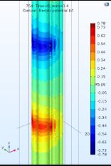 Electroceutical Modeling ...