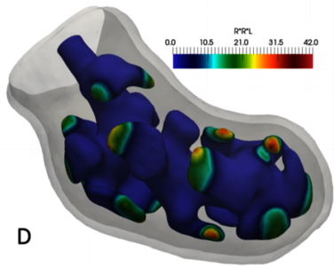 Simulating Organogenesis in ...
