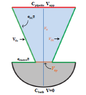 Numerical Modeling of ...