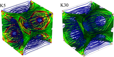 A Multi-Physics Study of ...