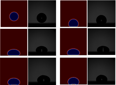 Numerical simulation of ...