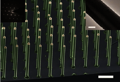 A Silicon Nanowire as a ...