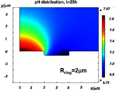 Numerical simulation of ...