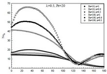 Wall Effects in Convective ...