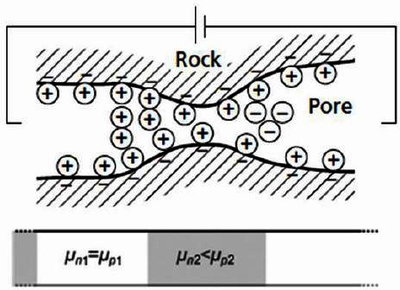 Numerical Study of Membrane ...