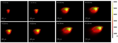 Thermo-Fluid-Metallurgical ...