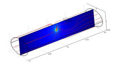 Modeling of Nerve ...