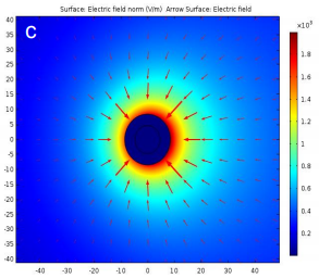 COMSOL Multiphysics® as a ...