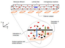 Multi-Scale Modelling of ...