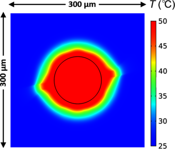 Towards High-Throughput DNA ...