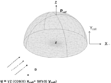 Shear Induced Detachment Of ...