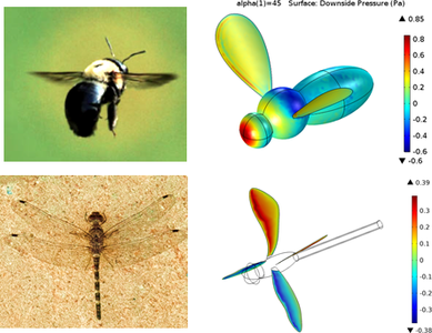 Bumblebee Aerodynamics
