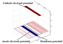 COMSOL application in ...