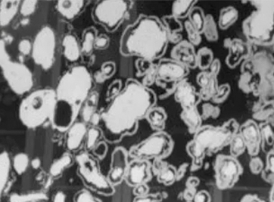 Simulating Primary Alkaline ...